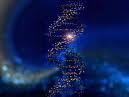 UNIVERSAL SPIRAL