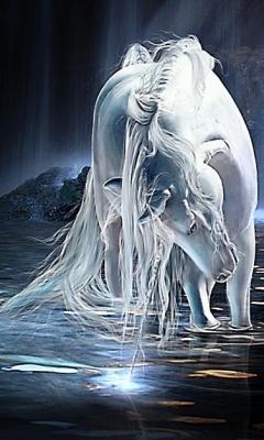 Unicorn Blessings