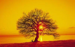 Tramonto Artistico