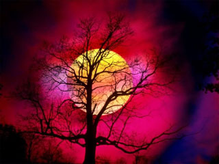 Tramonto infuocato