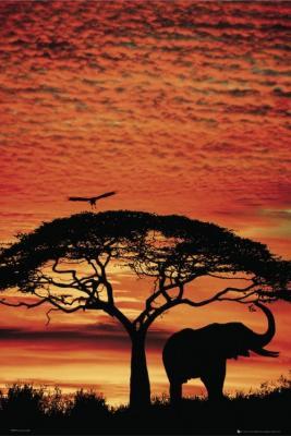 Tramonto in Africa