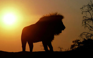 Tramonto in Africa