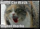 kitty car was