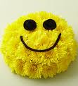 happy flowers