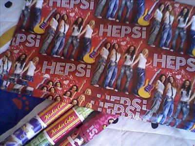 hepsi-kaplık