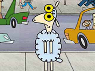 sheep in the big city