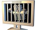 Computer Crime