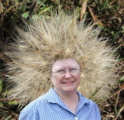 you could do with a new haircut