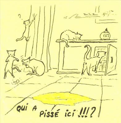 pipi
