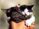 Gros calin ma belle (mon beau!)