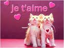 Je t'aime