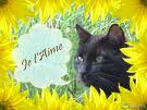 Je t'aime ma fleure