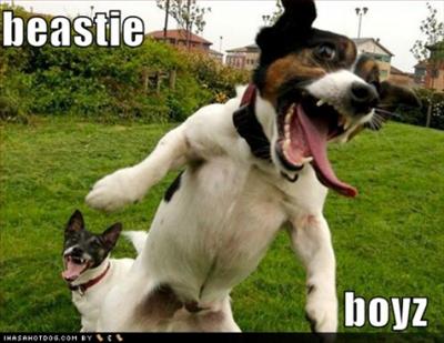 Beastie boys