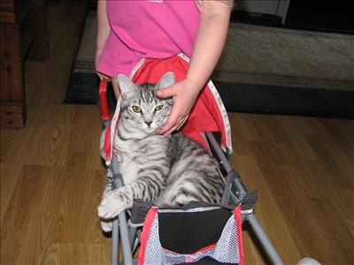 KITTIEZ
