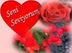 Seni Seviyorum Canım