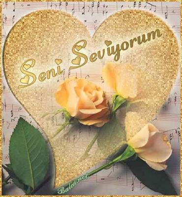 Seni Seviyorum