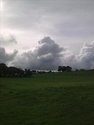 Take a walk in a storm