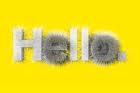 Cactus Hello