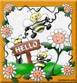 Bee Hello nr.1