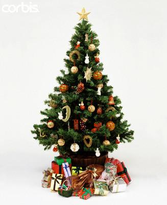 christmas tree