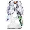 budgies