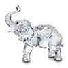 baby elephant