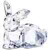 big bunny