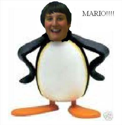 MARIO perfect!