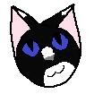 Black+ Cat