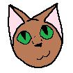 Brown Cat