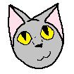 Grey Cat
