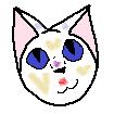 White+ Cat