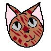 Brown+ Cat