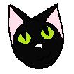 Black Cat