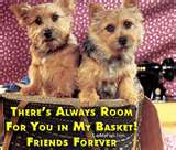 Doggies