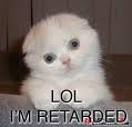 Retarded kitty