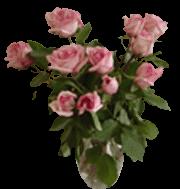 rosor