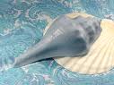 blue conch