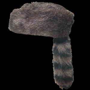 Raccoon cap