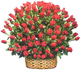 Gift16