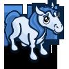 Pony Foal