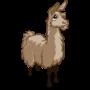 Llama
