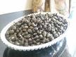 Feed of Periwinkles