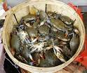 Bucket of Crabs
