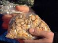 Bag of Cockles!