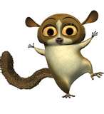 mouse lemur
