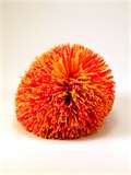 koosh ball