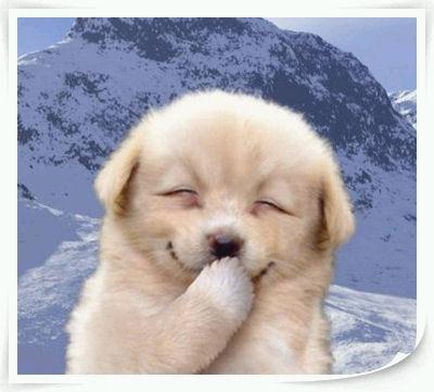 Smiling Puppy!!!