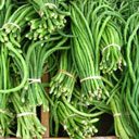 Kacang Panjang