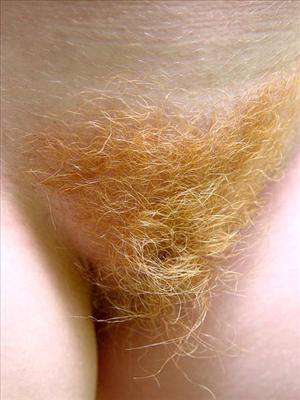 GINGER
